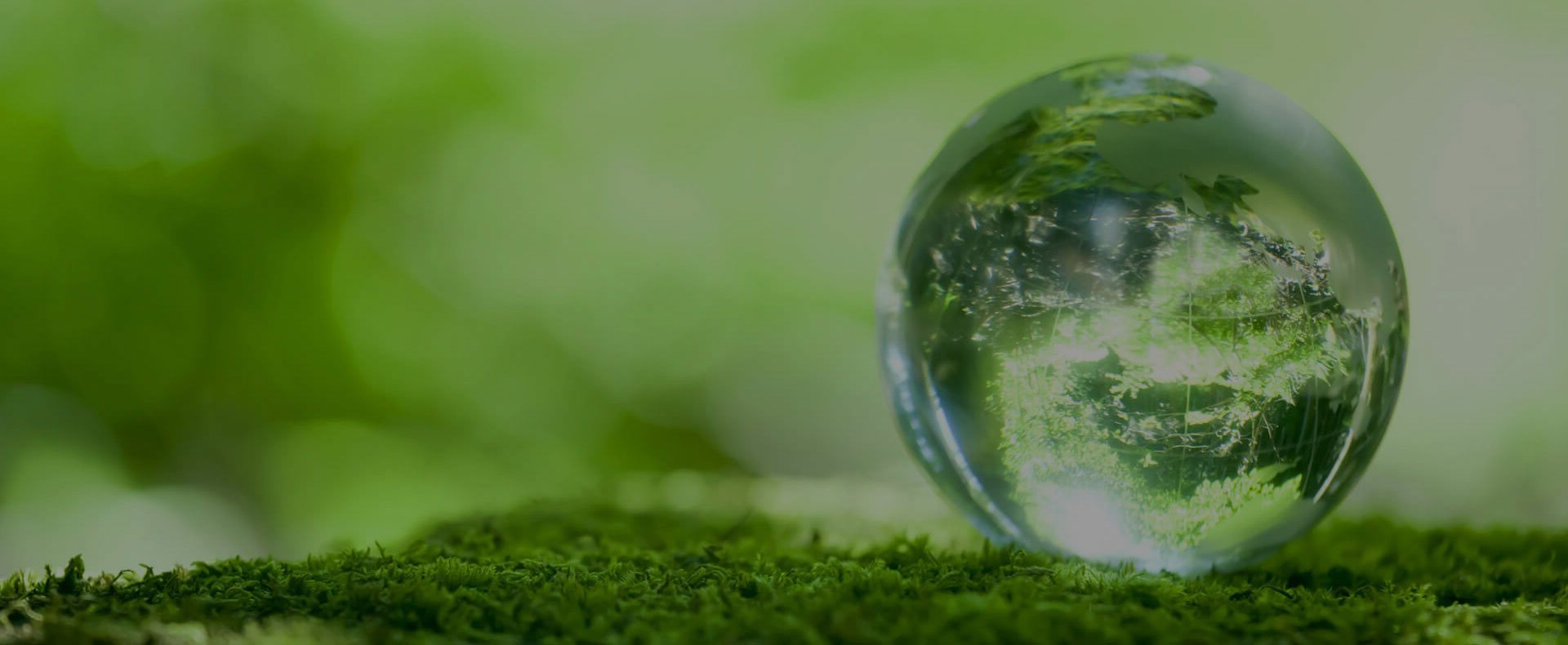 The Olive Prime - 24/7 Psychotherapeutic Services