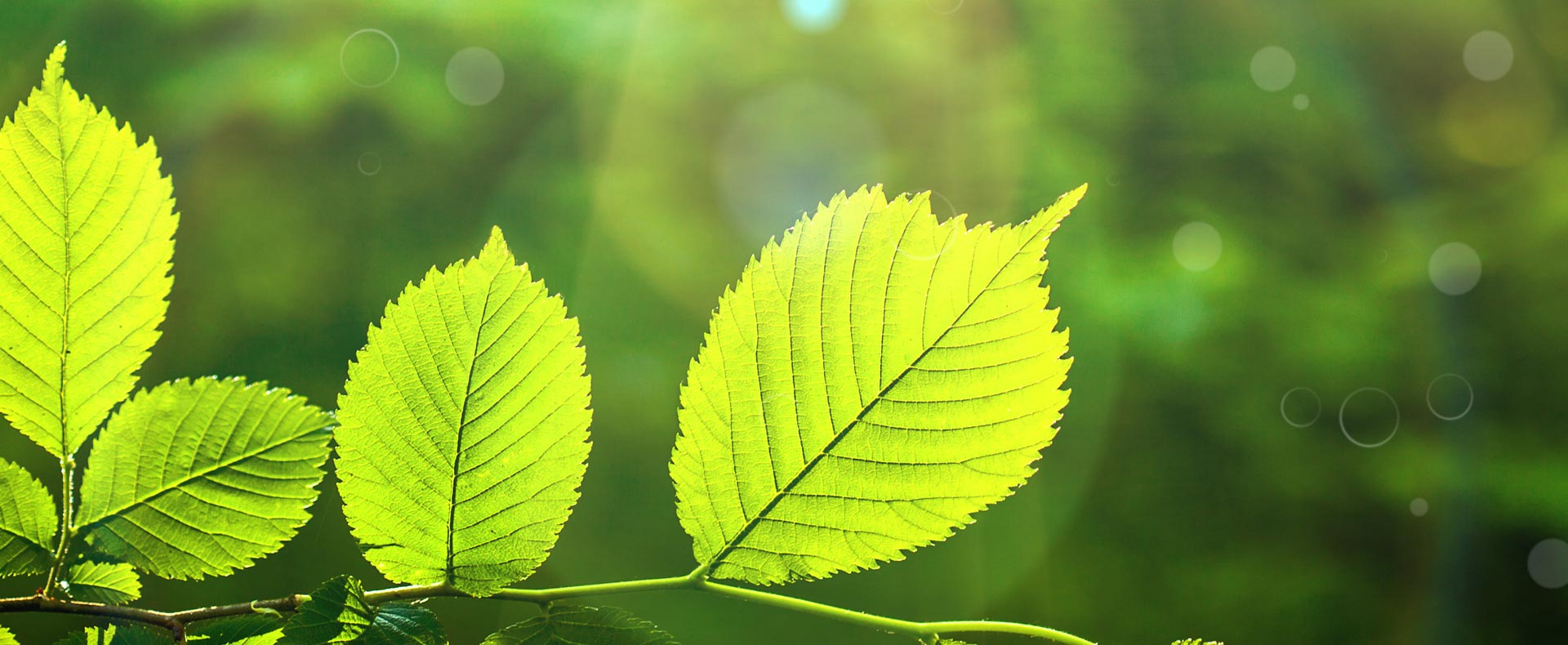 We Are Committed To Ensuring